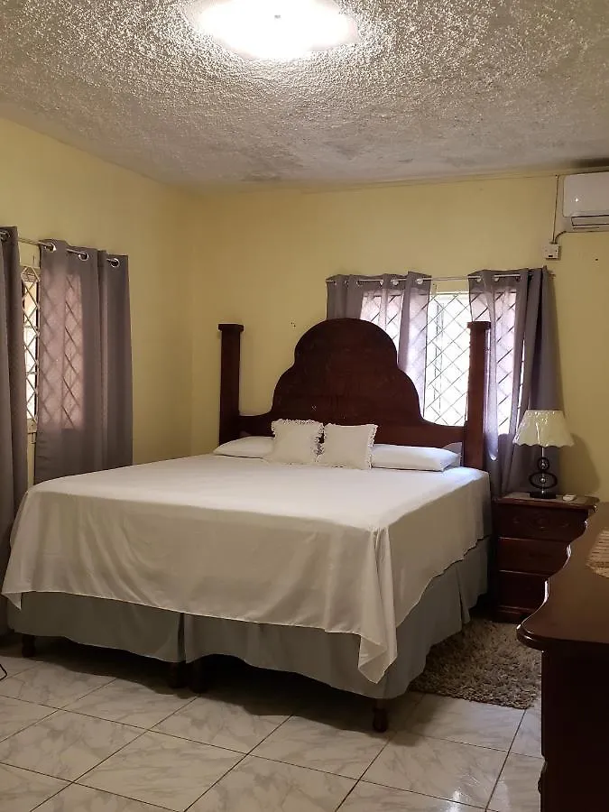 Affittacamere Lion'S View Bed & Breakfast Mandeville Giamaica
