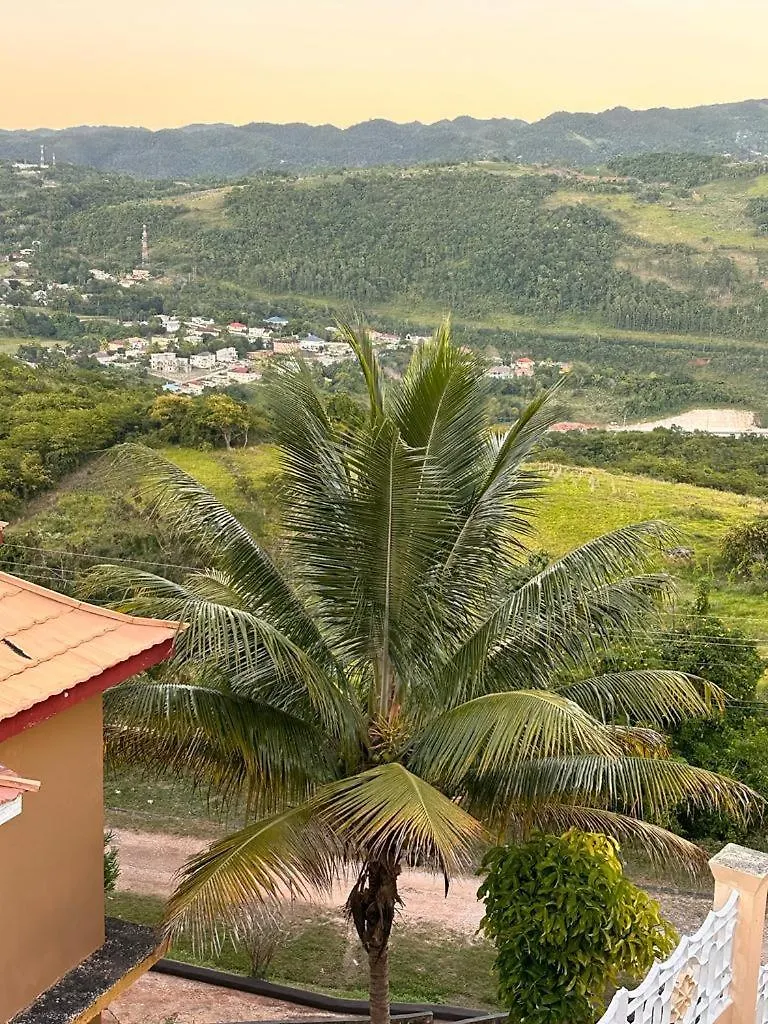Affittacamere Lion'S View Bed & Breakfast Mandeville