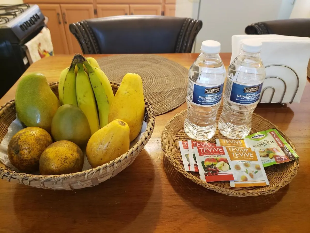 招待所 Lion'S View Bed & Breakfast 曼德维尔 牙买加