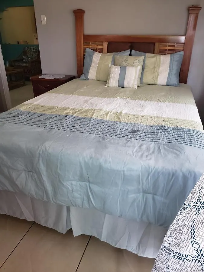 Lion'S View Bed & Breakfast 曼德维尔 0*,  牙买加