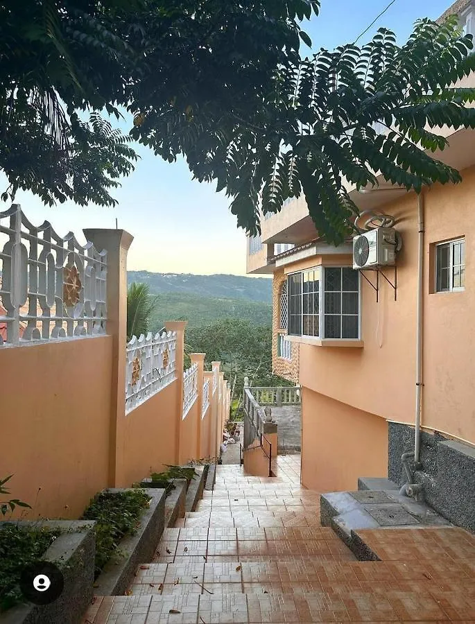 Lion'S View Bed & Breakfast 曼德维尔